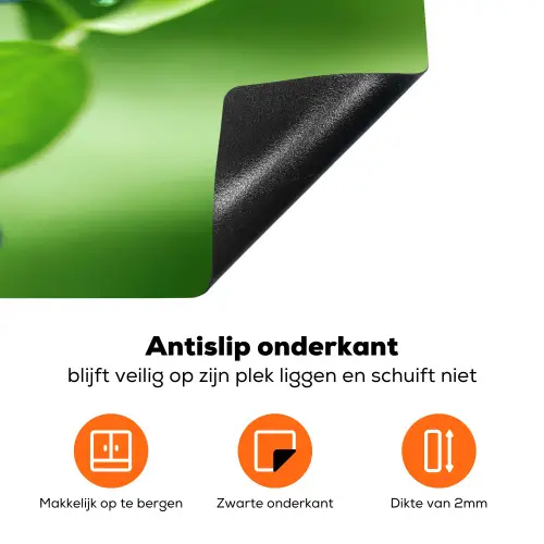Bosbessen - Paars - Bladeren - Groen Inductie beschermer vinyl 3mm klein 276 -zzzzzzz-td-onderkant