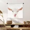 Geit - Portret - Jongen - Meisjes - Kids - Wit Wandkleed katoen klein -sfeer5