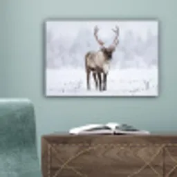 Rendier - Gewei - Toendra - Sneeuw - Wild canvas 2cm klein -sfeer4