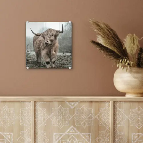 Schotse hooglander - Natuur - Herfst - Dieren - Wild - Bos plexiglas 5mm klein -sfeer5