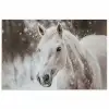 Paard - Wit - Winter - Natuur - Sneeuw - Dieren poster papier klein -3d