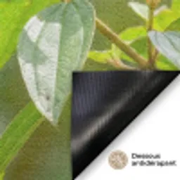 Kolibrie - Bloem - Natuur - Groen Deurmat klein -antislip_FR