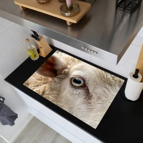 Schaap - Oog - Wit Inductie beschemer met haakjes klein -sfeer1