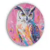Uil - Roze - Blauw - Verf - Abstract Akoestische PET Vilt - Rond klein -3d