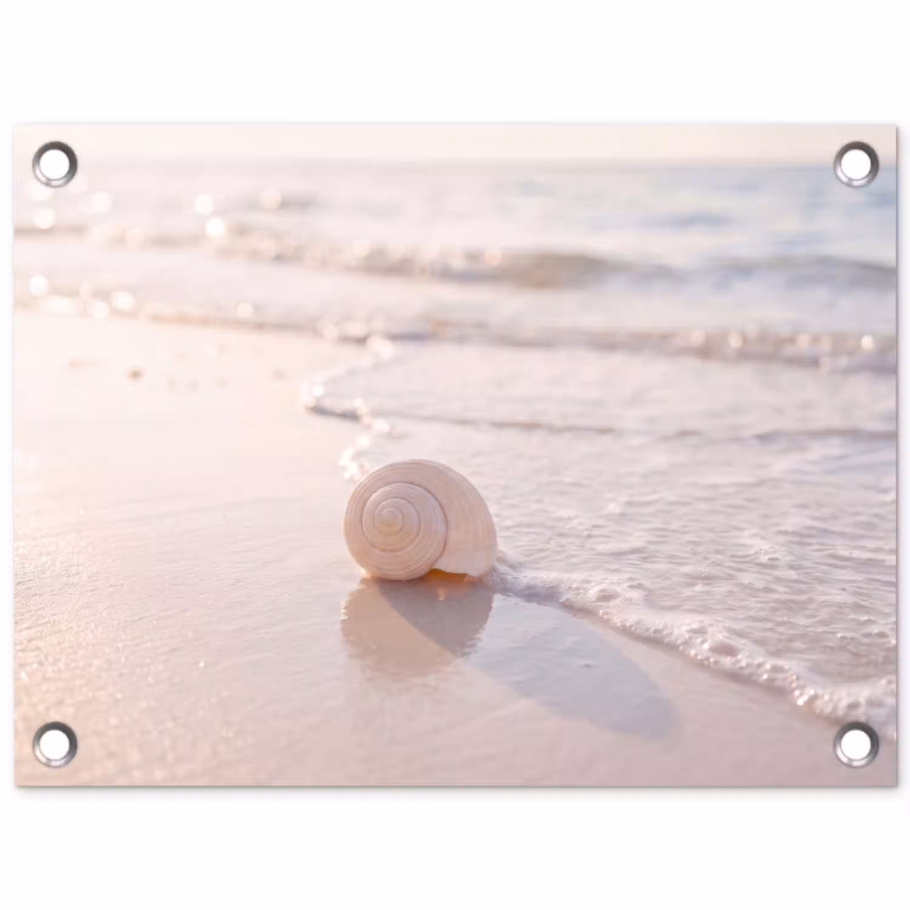Zeeschelp - Strand - Zee - Natuur - Beige tuinposter los doek klein -3d