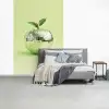 Groen - Disco - Decoratie - Appel fotobehang vinyl groot -slaapkamer