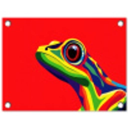 Kikker - Kleurrijk - Strepen - Ogen tuinposter los doek klein -3d
