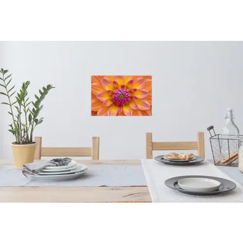 Dahlia - Bloem - Oranje Muursticker klein -eettafel
