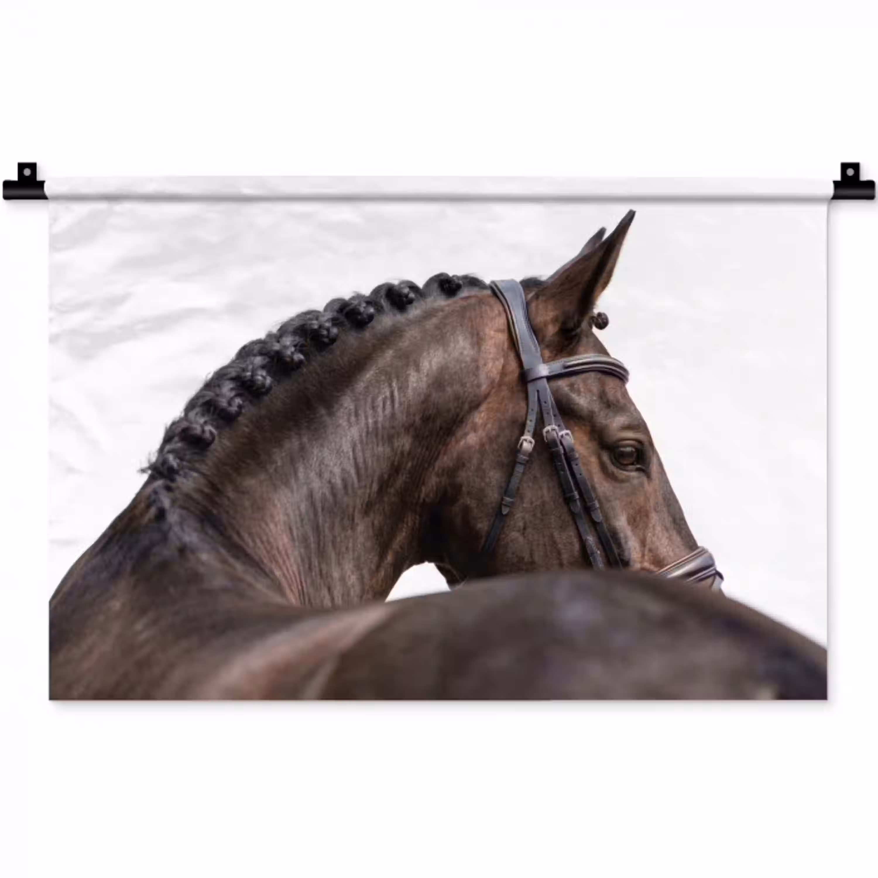 Portret - Paard - Elegant Wandkleed katoen klein -zz3d