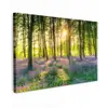 Lente - Bos - Zon canvas 2cm klein -z3d
