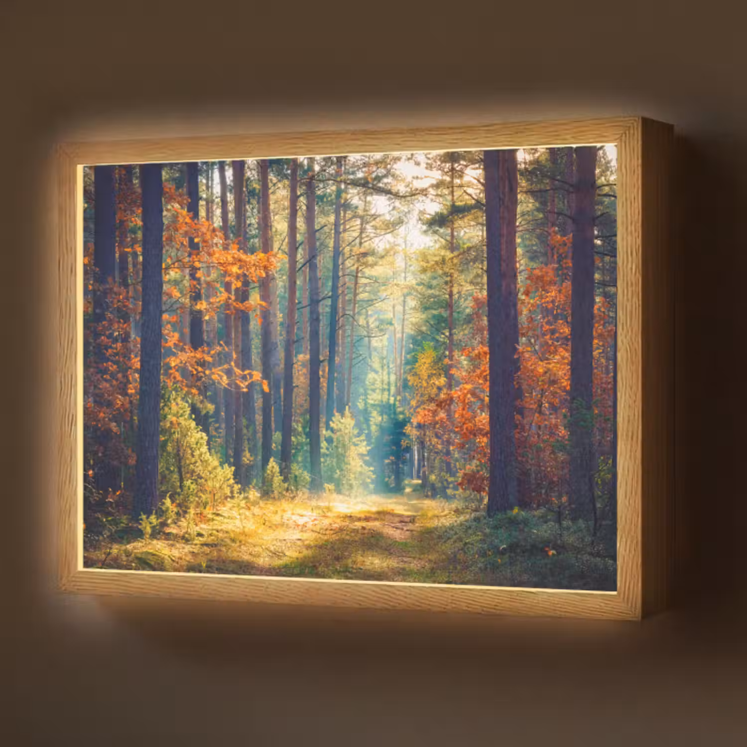 Lightbox - Wandlamp - Bos - Zon - Natuur - Herfst