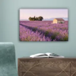 Lavendel - Landschap - Sereen - Paars canvas 2cm klein -sfeer4