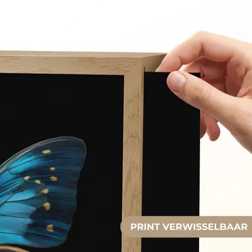 Vlinder - Blauw - Contrast Light Box met batterij (Wandlamp) middel -USP_websiteprintNL