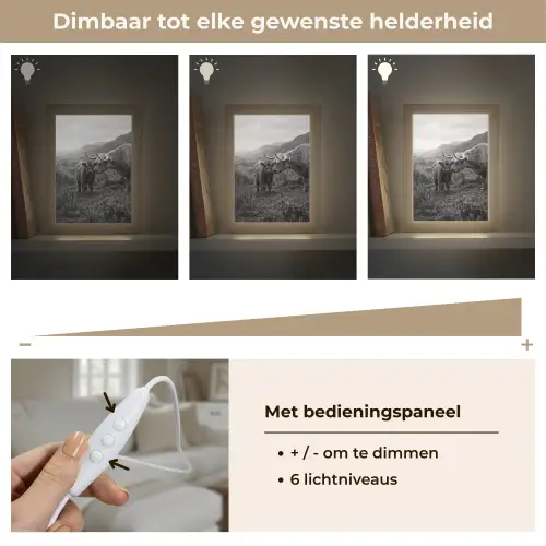 Schotse hooglander - Kalf - Zwart - Wit Light Box met kabel (Tafellamp) klein -USP_dimbaarNL
