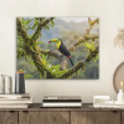 Toekan - Jungle - Natuur - Kleurrijk PET vilt klein -sfeer1