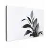 Plant - Bladeren - Minimalistisch - Zwart Tuinposter op houten frame 2 cm dik klein -3d