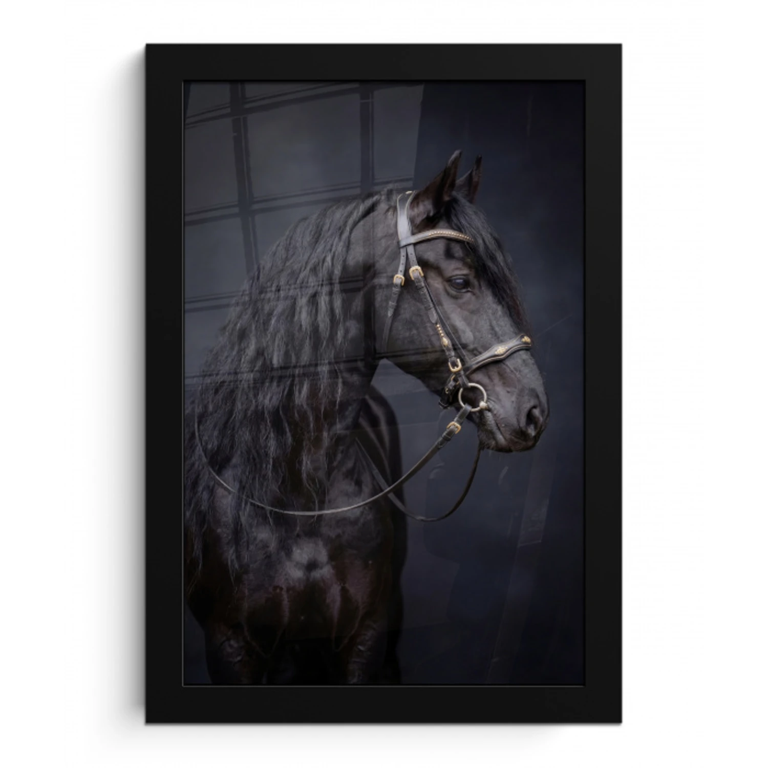Portret - Paard - Donker fotolijst zwart zonder passe partout klein -3d