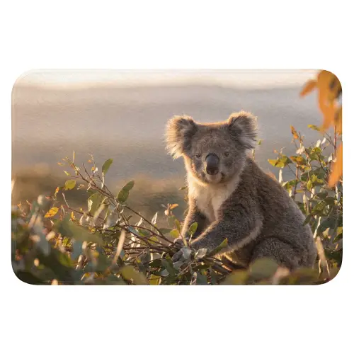 Koala - Bladeren - Ochtendlicht Badmat klein -3d