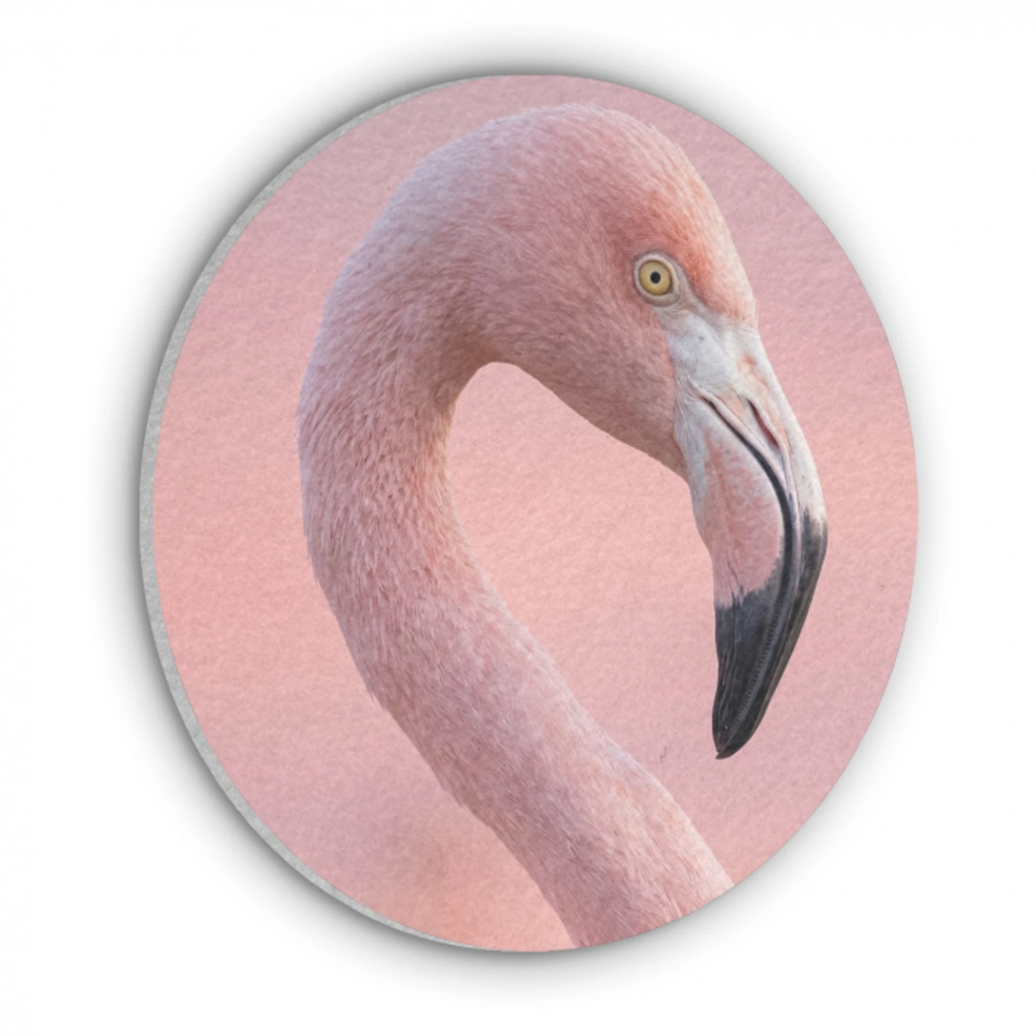 Flamingo - Portret - Roze Akoestische PET Vilt - Rond klein -3d