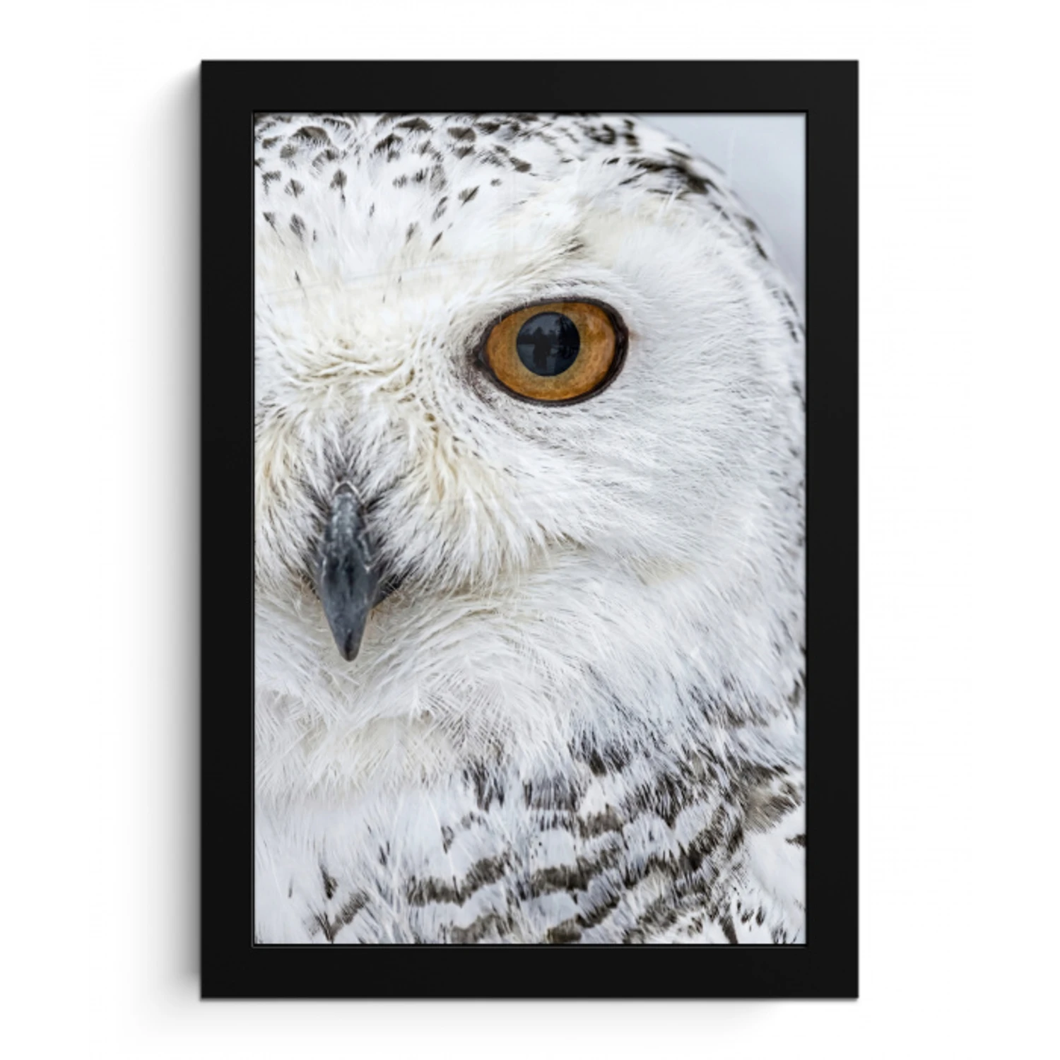 Sneeuwuil - Oog - Wildlife - Wit fotolijst zwart zonder passe partout klein -3d