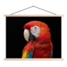 Ara - Portret - Rood textielposter latten blank klein -3d