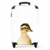 Daisy Duck Koffer - NBS - Handbagage middel -productfoto_recht