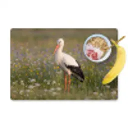 Ooienvaar - Bloemen - Weide - Kleurrijk Placemat vinyl groot -zzzproduct_Kitchenyeah-website