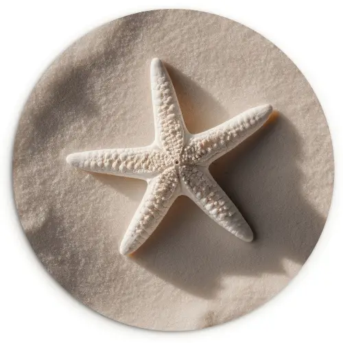 Strand - Zeester - Zand - Beige Wandcirkel kunststof plaat 5mm dik klein -3d