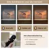 Dolfijnen - Zee - Realistisch Light Box met batterij (Wandlamp) middel -USP_lichtkleurNL