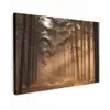 Bos - Mist - Zonlicht Tuinposter op houten frame 2 cm dik klein -3d
