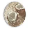 Kokosnoot - Water - Beige - Spetters Akoestische PET Vilt - Rond klein -3d