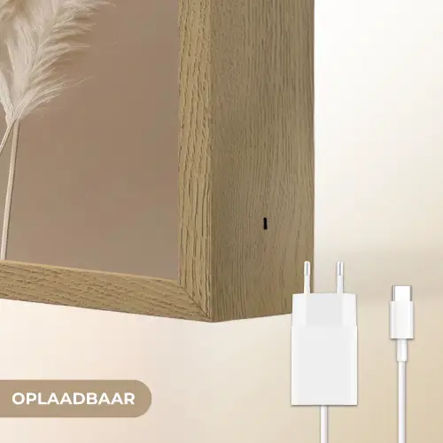 Pampasgras - Pluimen - Pastel - Wit Light Box met batterij (Wandlamp) middel -USP_websiteoplaadbaarNL