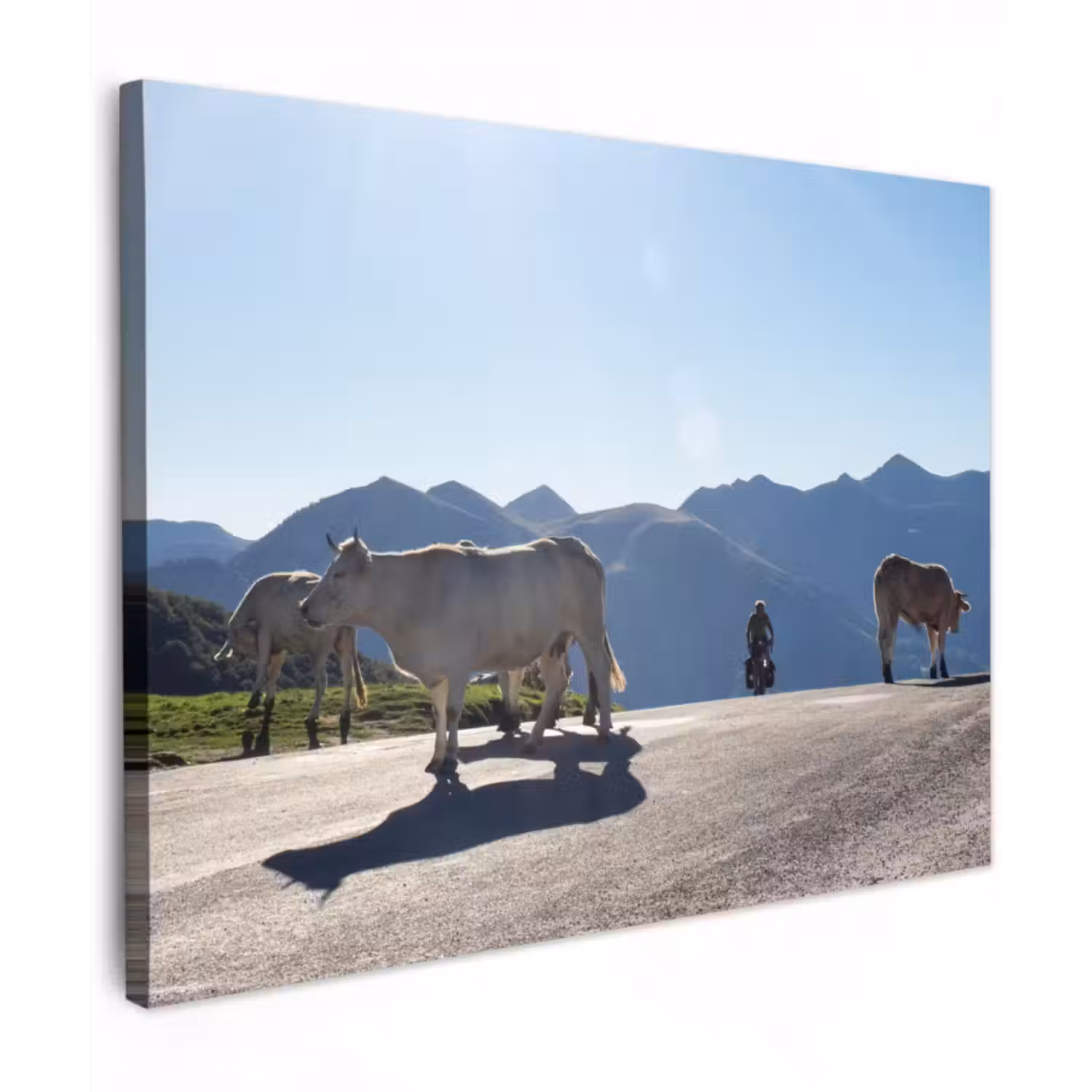 Leinwandbild - Schottische Highlander - Licht - Berge - Natur