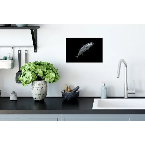 Makreel - Vis - Zwart Muursticker klein -keuken