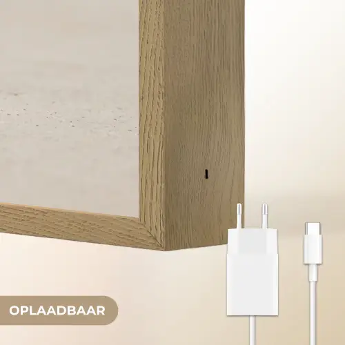 Schelp - Spiraal - Beige Light Box met batterij (Wandlamp) middel -USP_websiteoplaadbaarNL