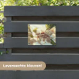 Bloesems - Zonlicht - Quote - Wit tuinposter los doek klein -sfeer3
