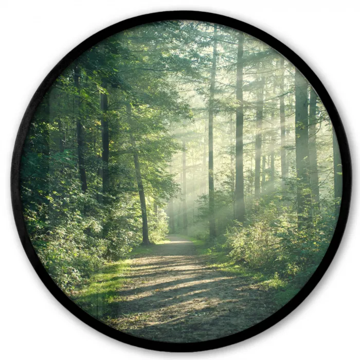 Bos - Pad - Zon - Bomen - Groen - Natuur Fotolijst rond zonder passe partout klein -3d