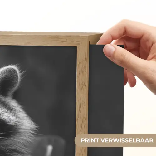 Wasbeer - Cute - Pasta - Tafelkleed - Zwart - Wit Light Box met batterij (Wandlamp) middel -USP_websiteprintNL