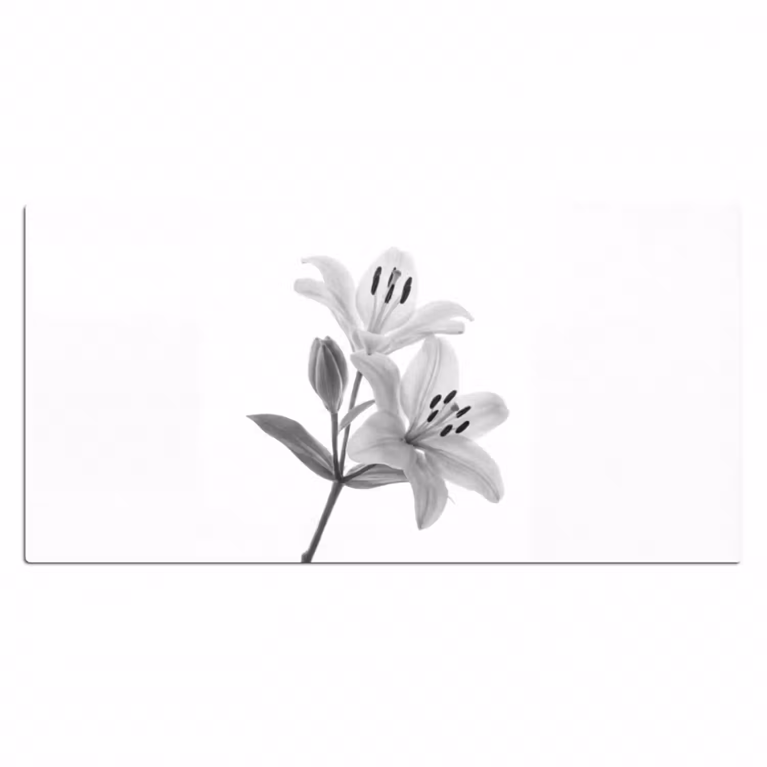 Schreibtischunterlage - Lilien - Elegant - Schwarz - Weiß