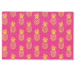 Ananas - Trendy - Roze Deurmat klein 898 -zkaufland3d