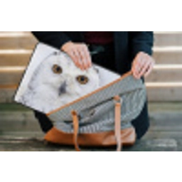 Sneeuwuil - Oog - Wildlife - Wit laptophoes neopreen klein -tas