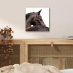 Portret - Paard - Elegant aluminium wit klein -sfeer3