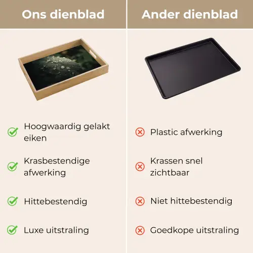 Blad - Groen - Nerven - Regendruppels Dienblad Rechthoek middel -USP_VergelijkingNL
