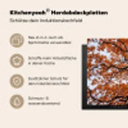 Boom - Bladerdak - Herfst - Oranje - Sfeervol Inductie beschemer met haakjes klein -ky-usp-de