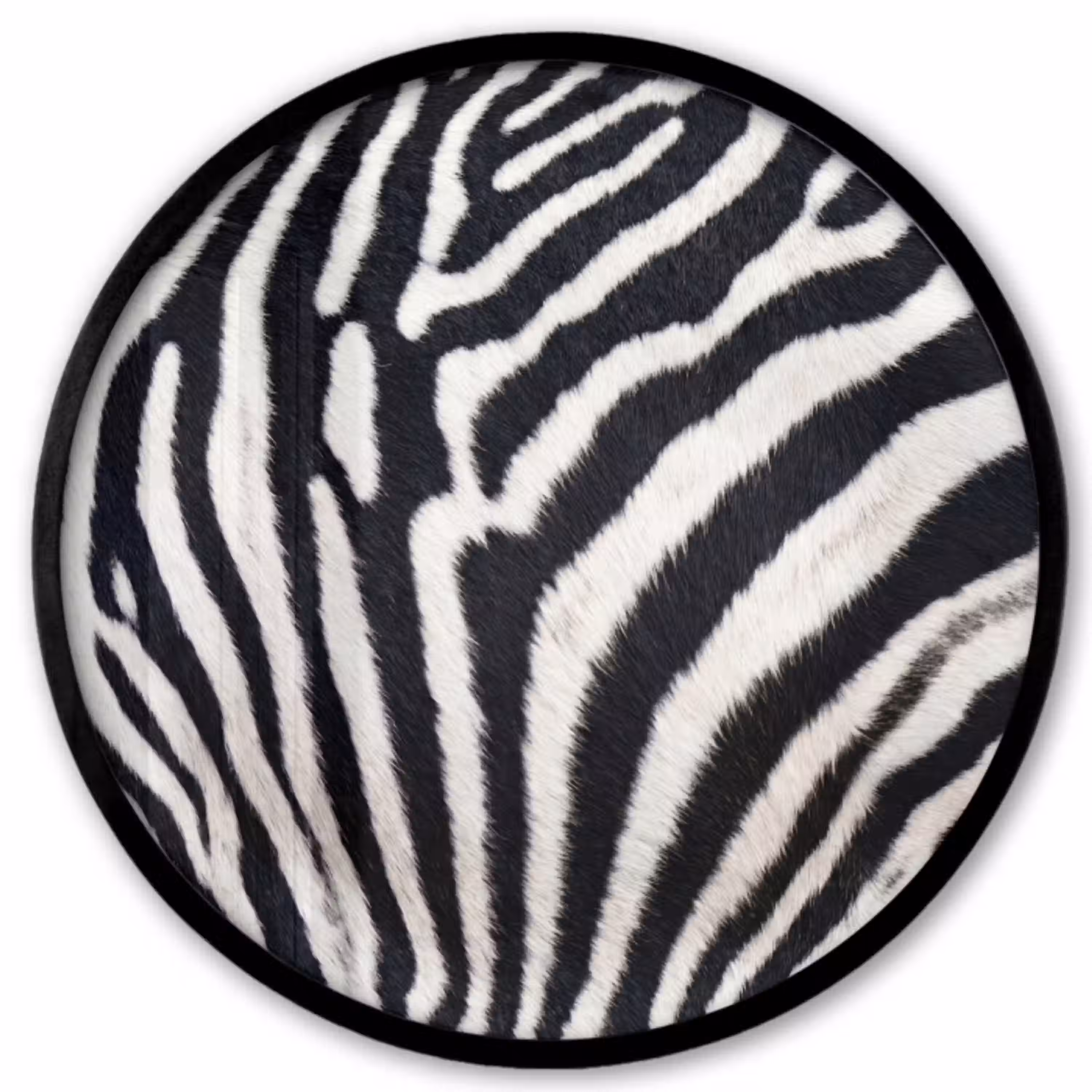 Zebra - Vacht - Klassiek - Zwart - Wit Fotolijst rond zonder passe partout klein -3d