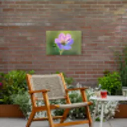 Bloem - Close up - Paars Tuinposter op houten frame 2 cm dik klein -sfeer3