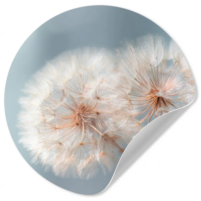 Paardenbloemen - Pluisjes - Wit Wandcirkel behangsticker klein -3d