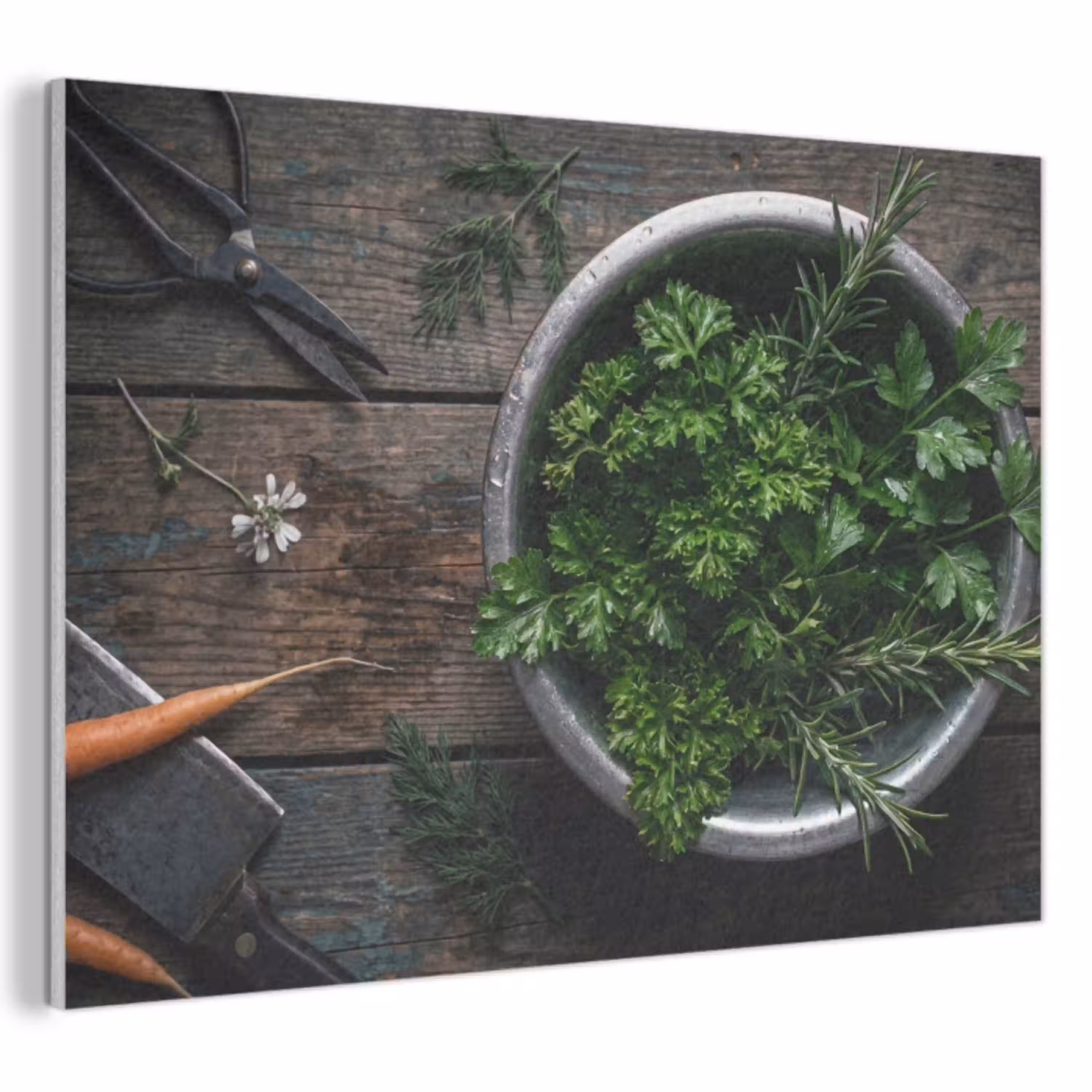 Groenten - Hout - Eten PET vilt klein -3d