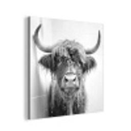 Schotse Hooglander - Dier - Douche - Humor aluminium wit klein -3d