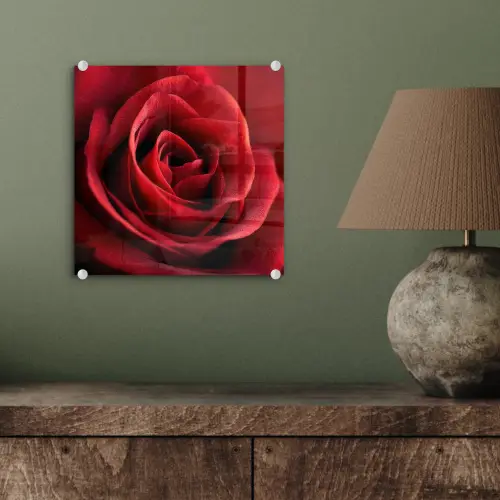 Rood - Roos - Romantisch plexiglas 5mm klein -sfeer3